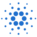 Cardano Icon