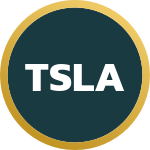 Tesla Inc. Icon